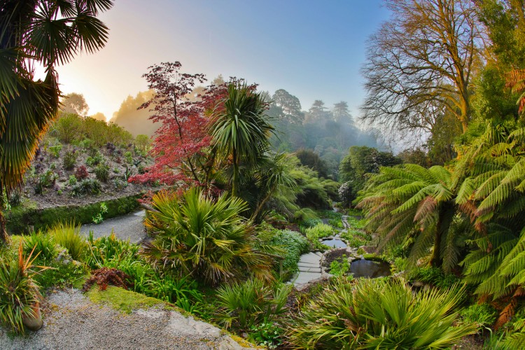 A guide to Cornish gardens