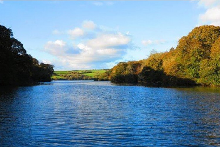 A Helford River cruise