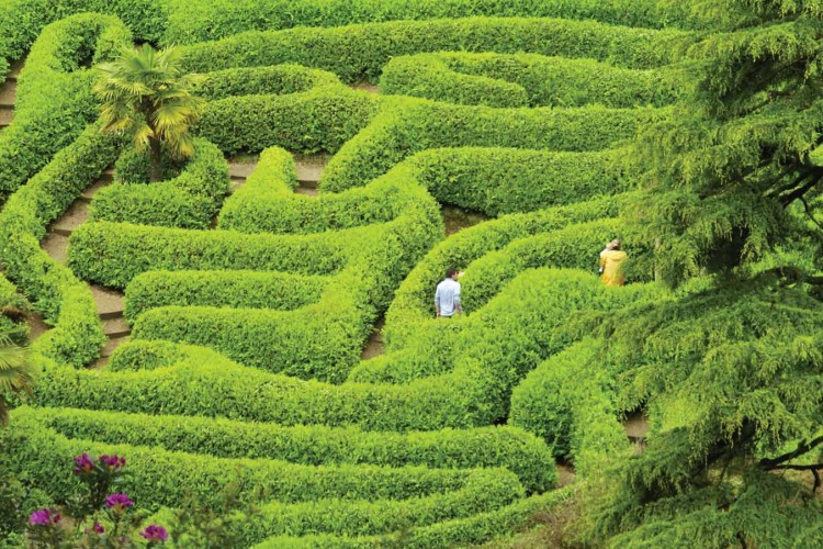 Glendurgan Garden