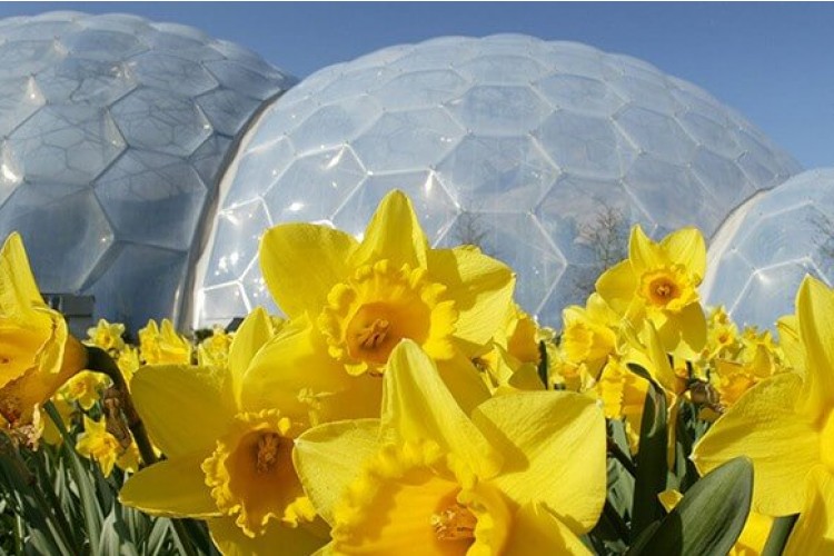 The Eden Project