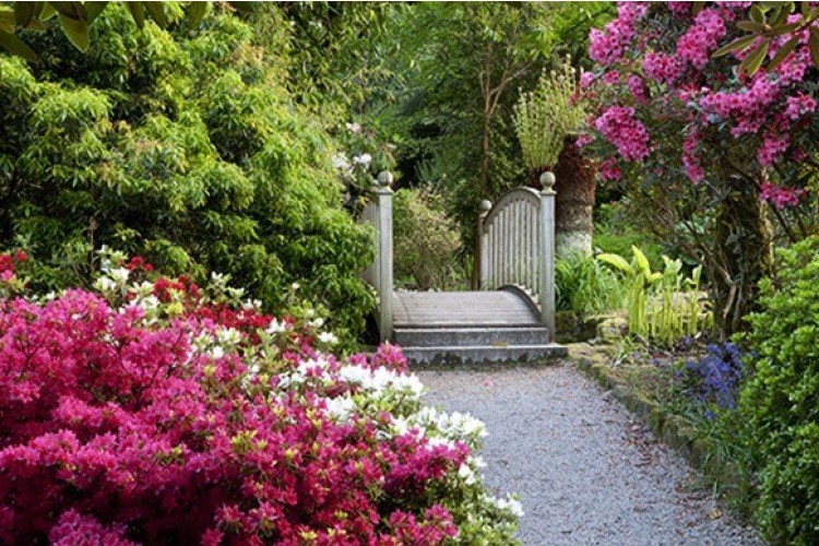 Trengwainton Garden