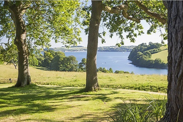 Trelissick Garden