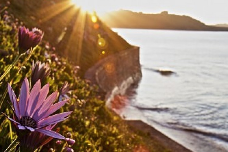 Four Falmouth walks with fabulous views