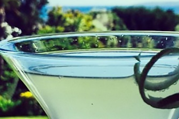 Summer Tipple: The Kernow Sour