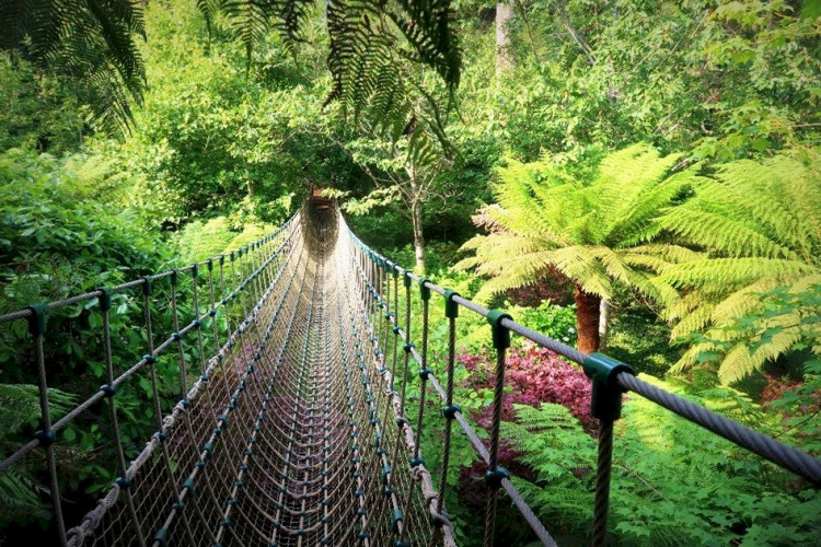 The best hidden gardens in Cornwall