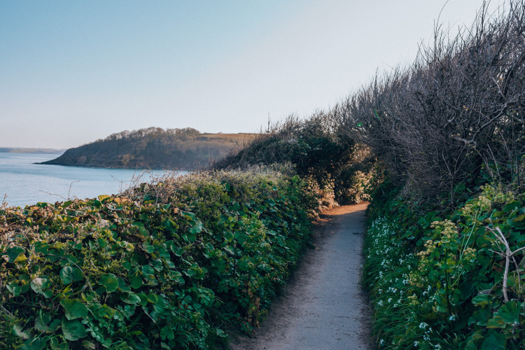 Top 10 Things To Do in Cornwall This Winter