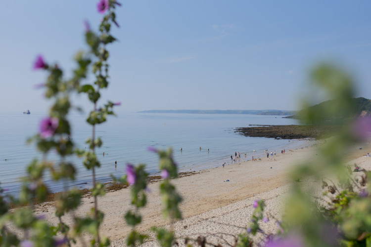 A Guide to Gyllyngvase Beach
