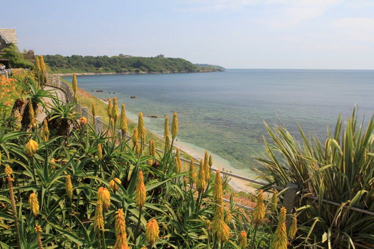 Our Guide to Castle Beach, Falmouth