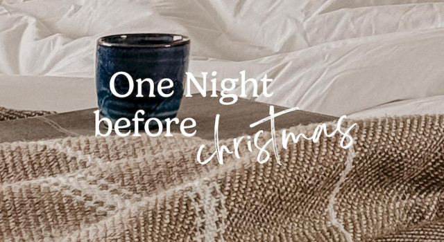 One Night Before Christmas