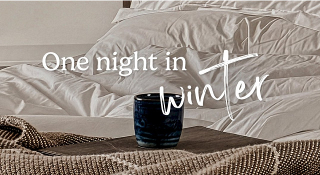 One Night In Winter