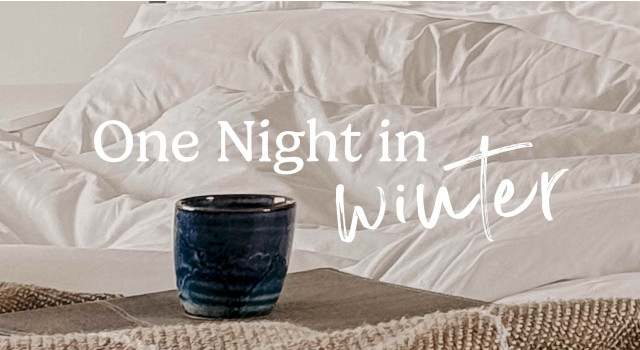 One Night In Winter