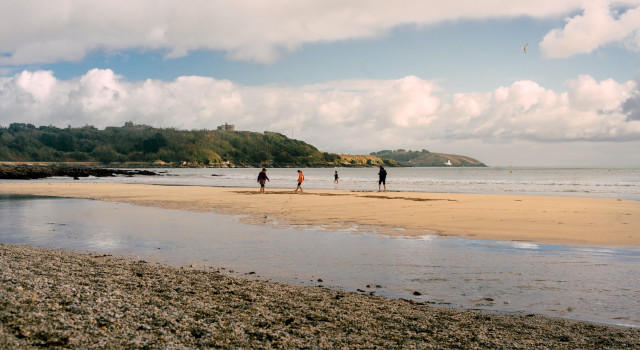 When Spring Meets The Shore
