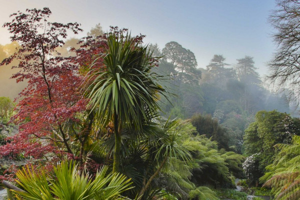 Trebah Garden Break