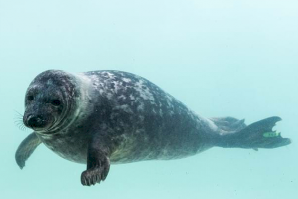 Half term with family