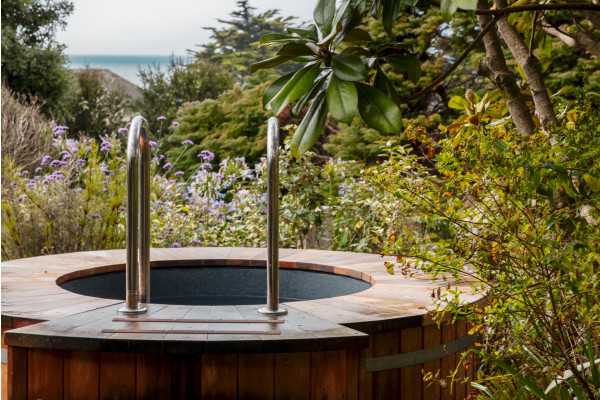 Take the cold plunge