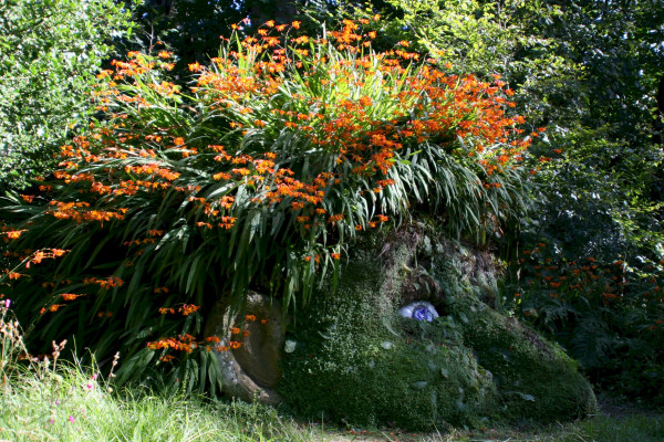 Giants Head statue at The Lost Gardens of Heligan
