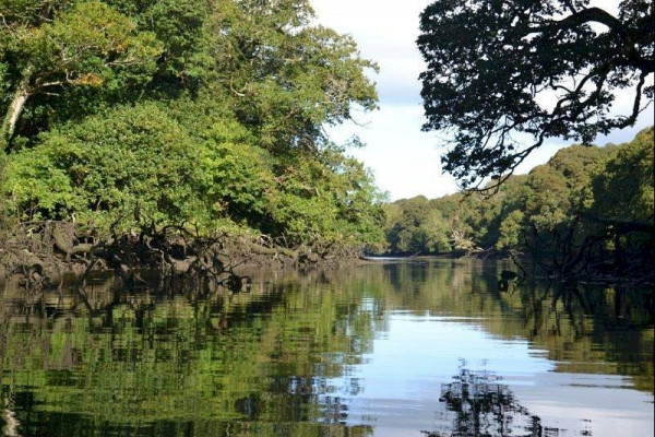 Frenchman's Creek on the Helford River in Cornwall