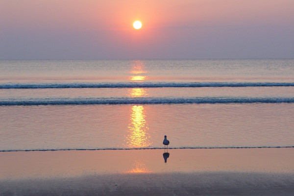 Finding the Perfect Venue