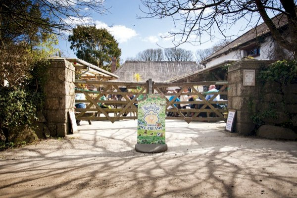 Swanpool & Roskillys