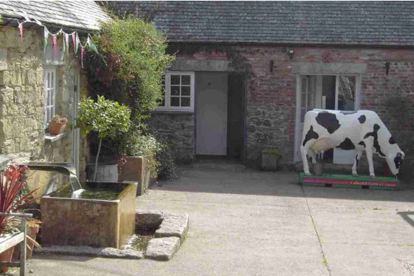 Jelberts & Callestick