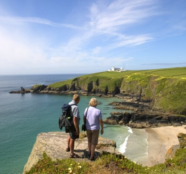 OUR TOP LIZARD ACTIVITIES