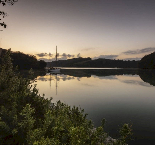 The River Fal: Fal-Ruan Nature Reserve