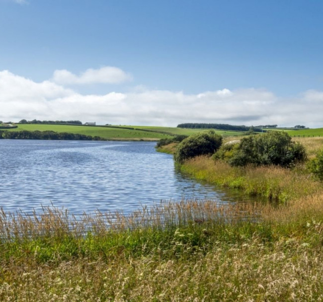 Tamar Lakes, Bude