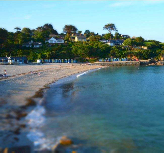 A Short Walk to Swanpool