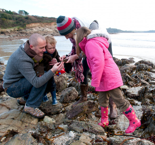 Rockpooling in Falmouth