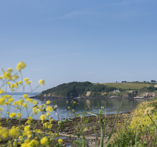 Our Sustainability Scheme