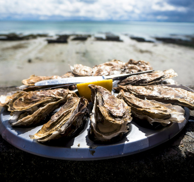Rock Oyster Festival
