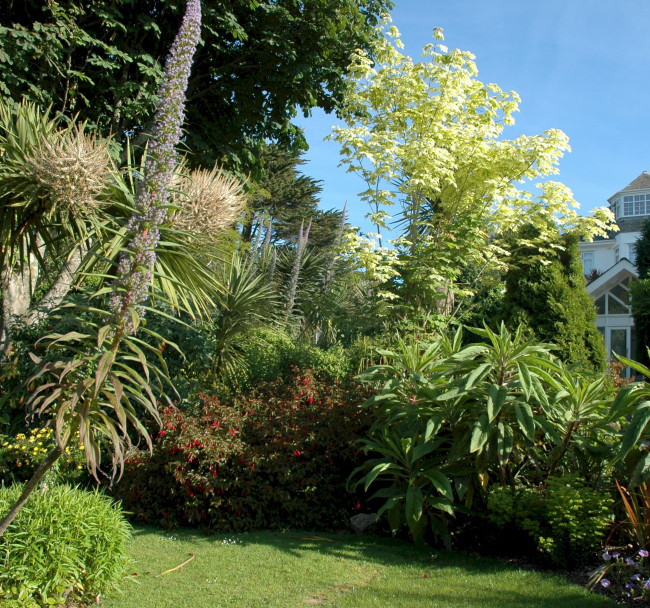 The Garden Apartment