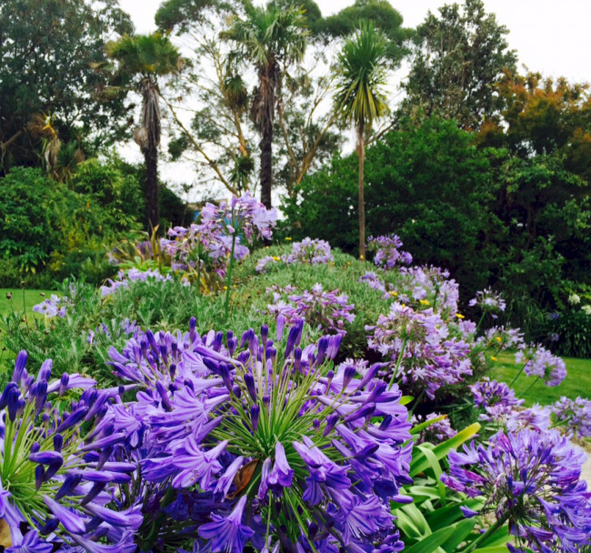 The Communal Gardens