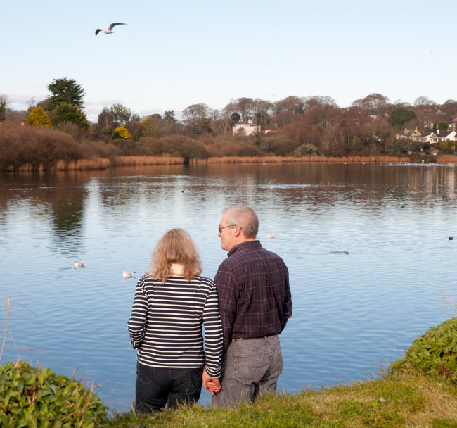 3. Bird Watching in Cornwall