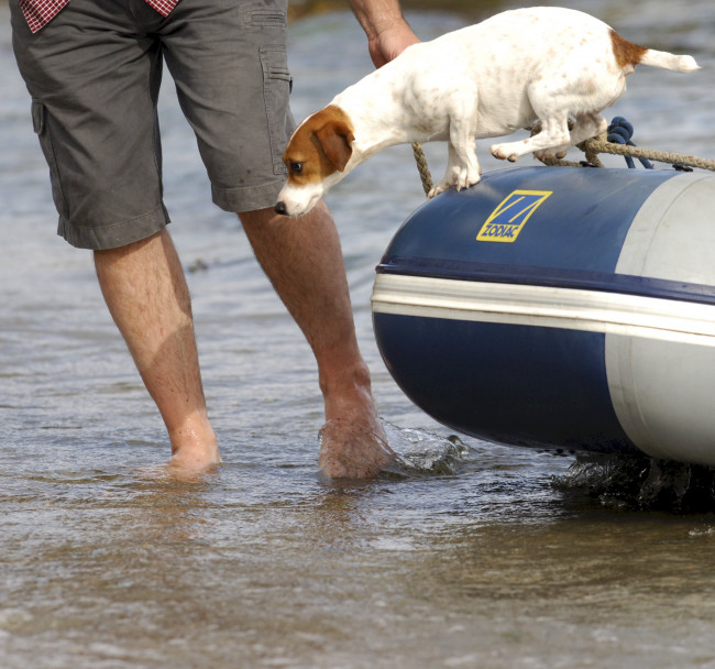 10. A Dog-Friendly Beach