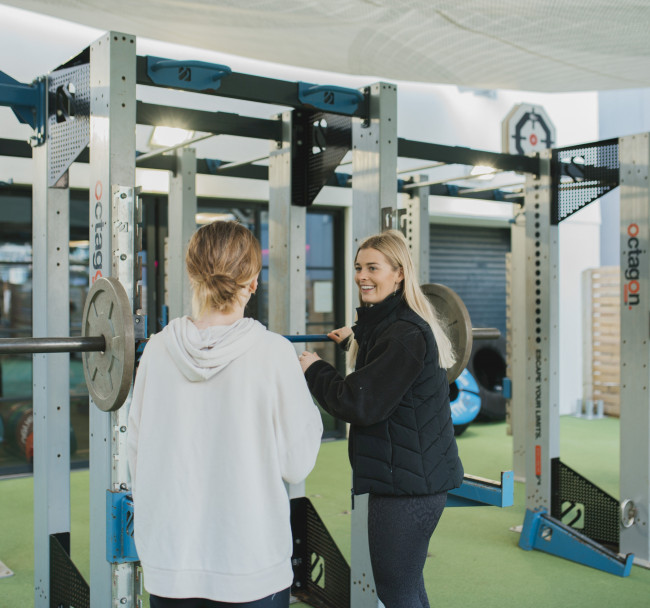 Wellness Consultations 