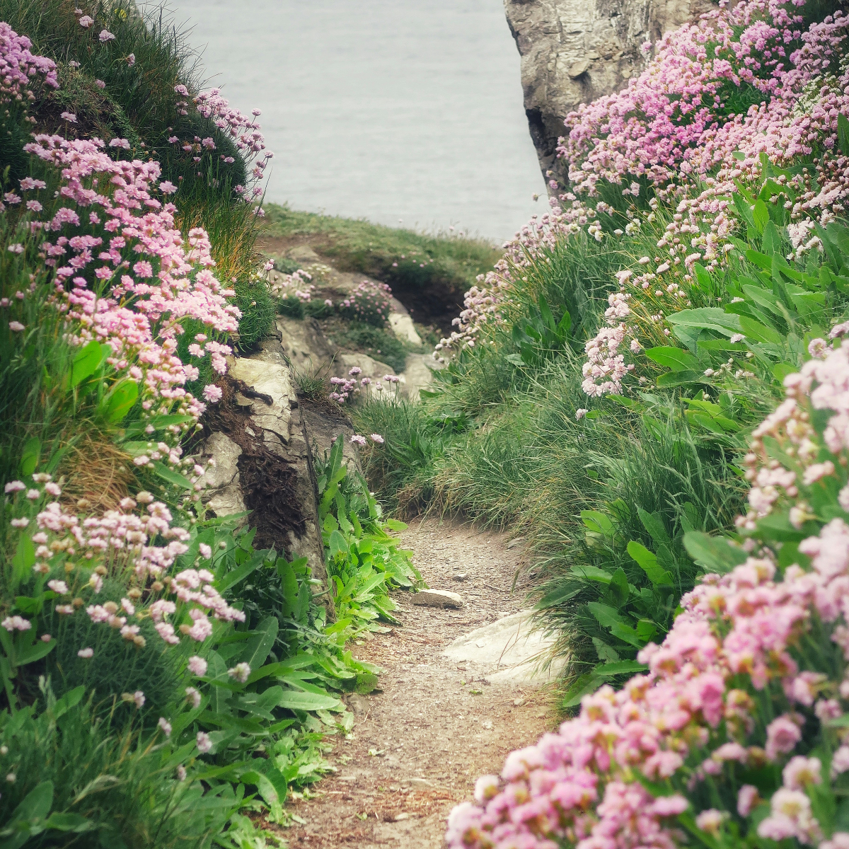 Trebah Gardens to the Beach