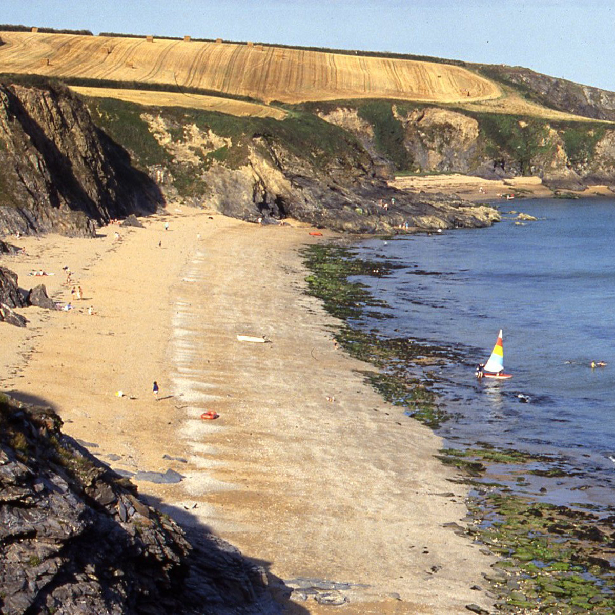 The Carrick Roads Coastal Walk