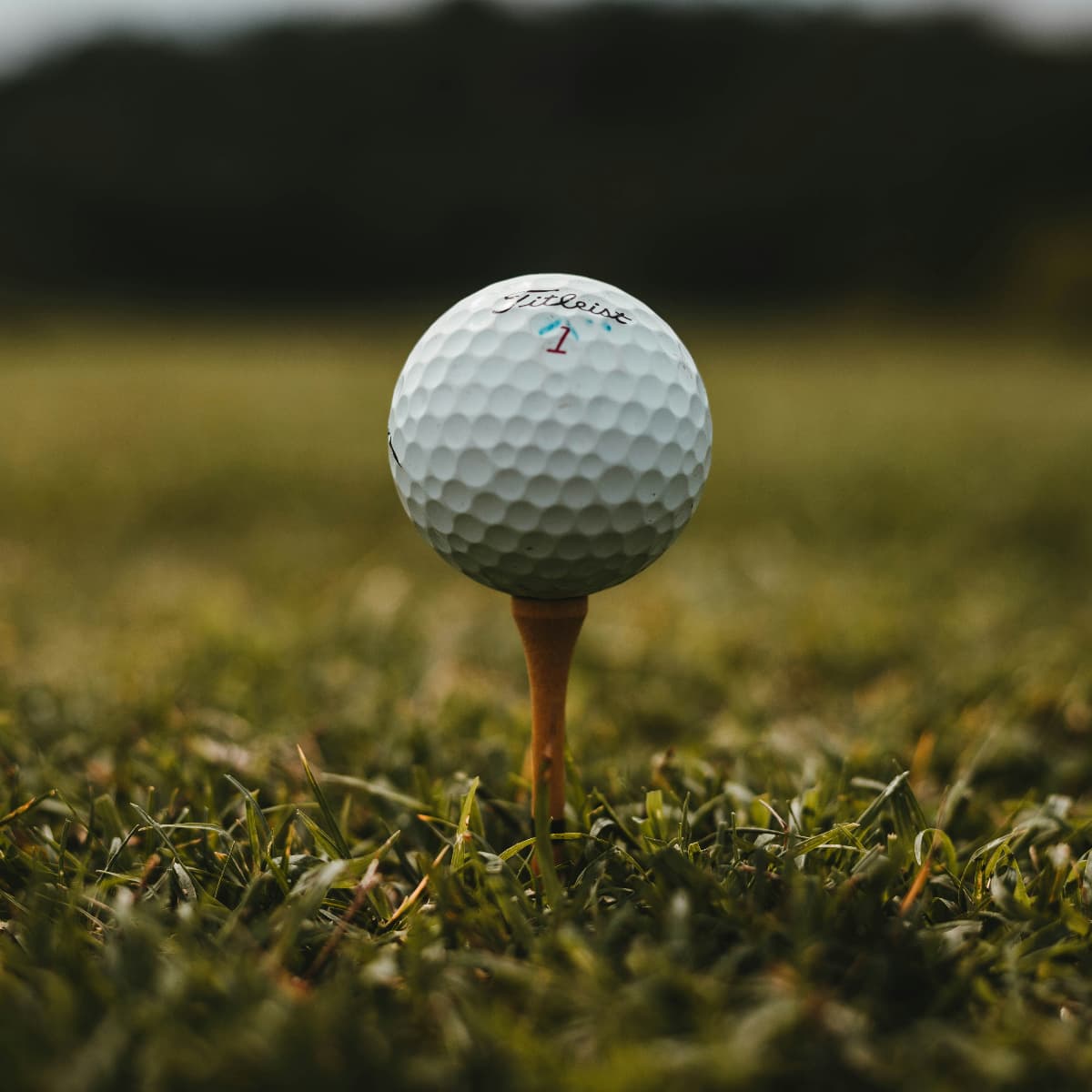 Falmouth Golf Course 6