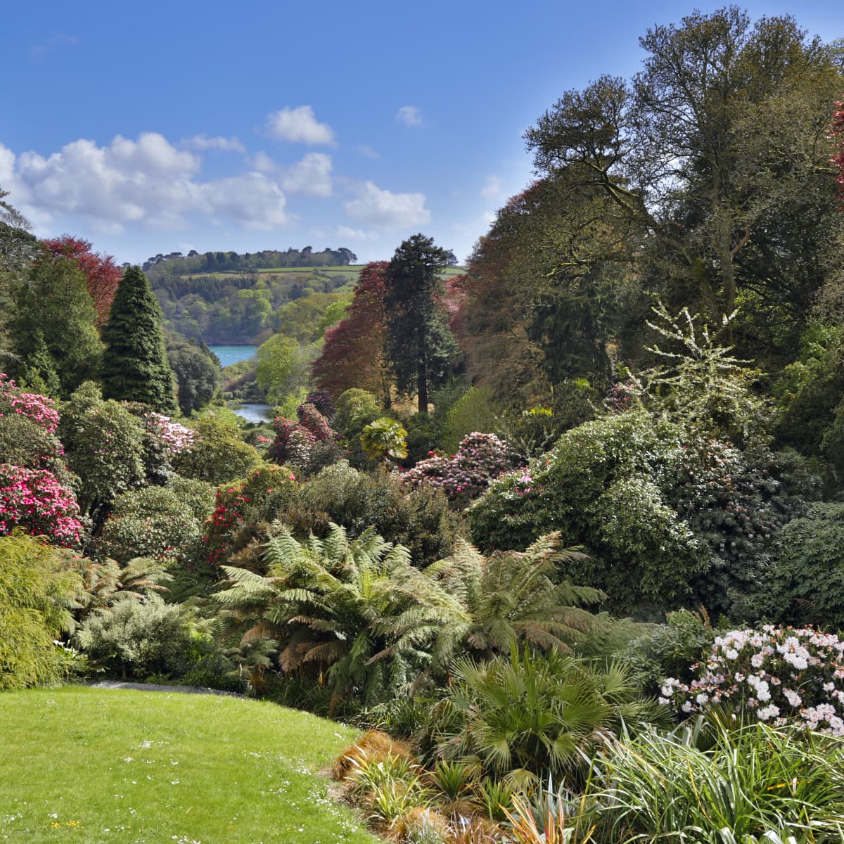 Falmouth Gardens Trebah 1