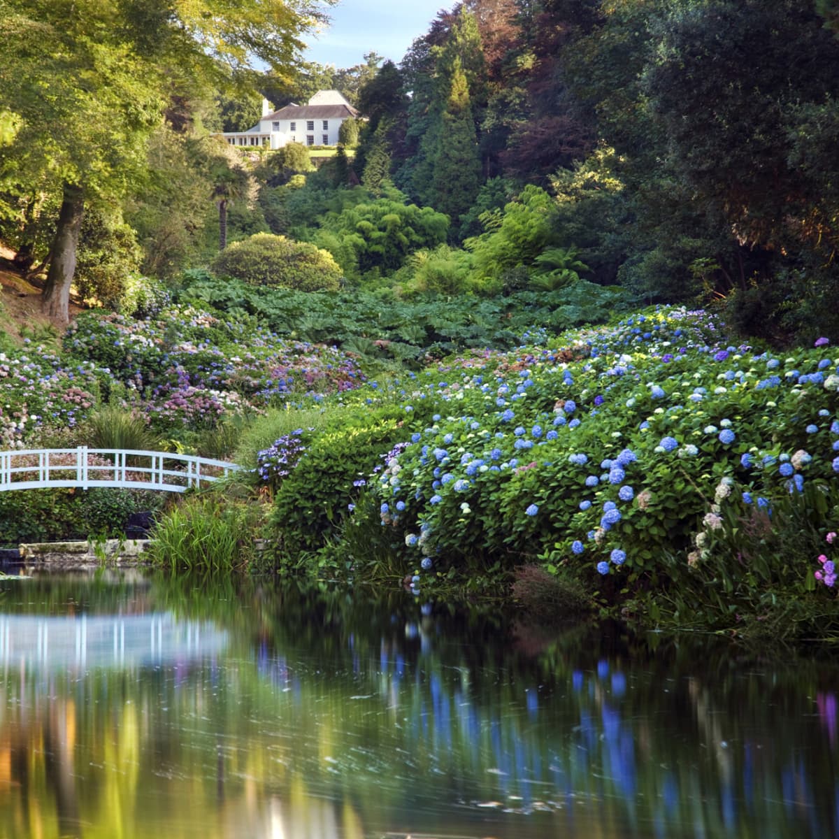 Falmouth Gardens Trebah 2