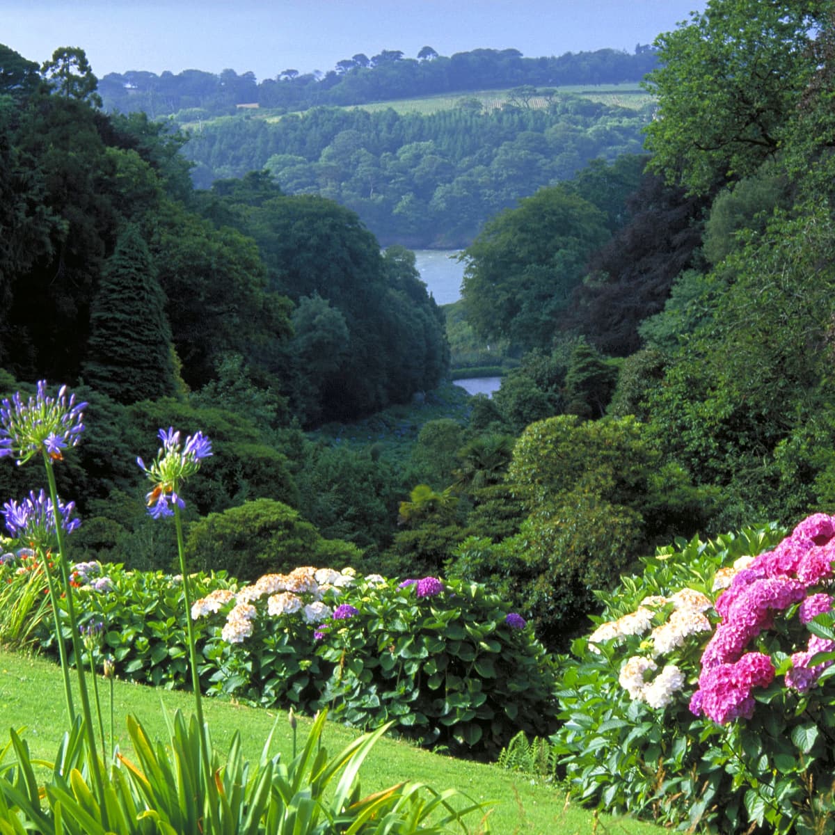Falmouth Gardens Trebah 4