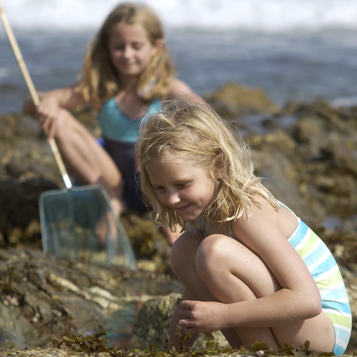 Gylly Beach Rockpooling