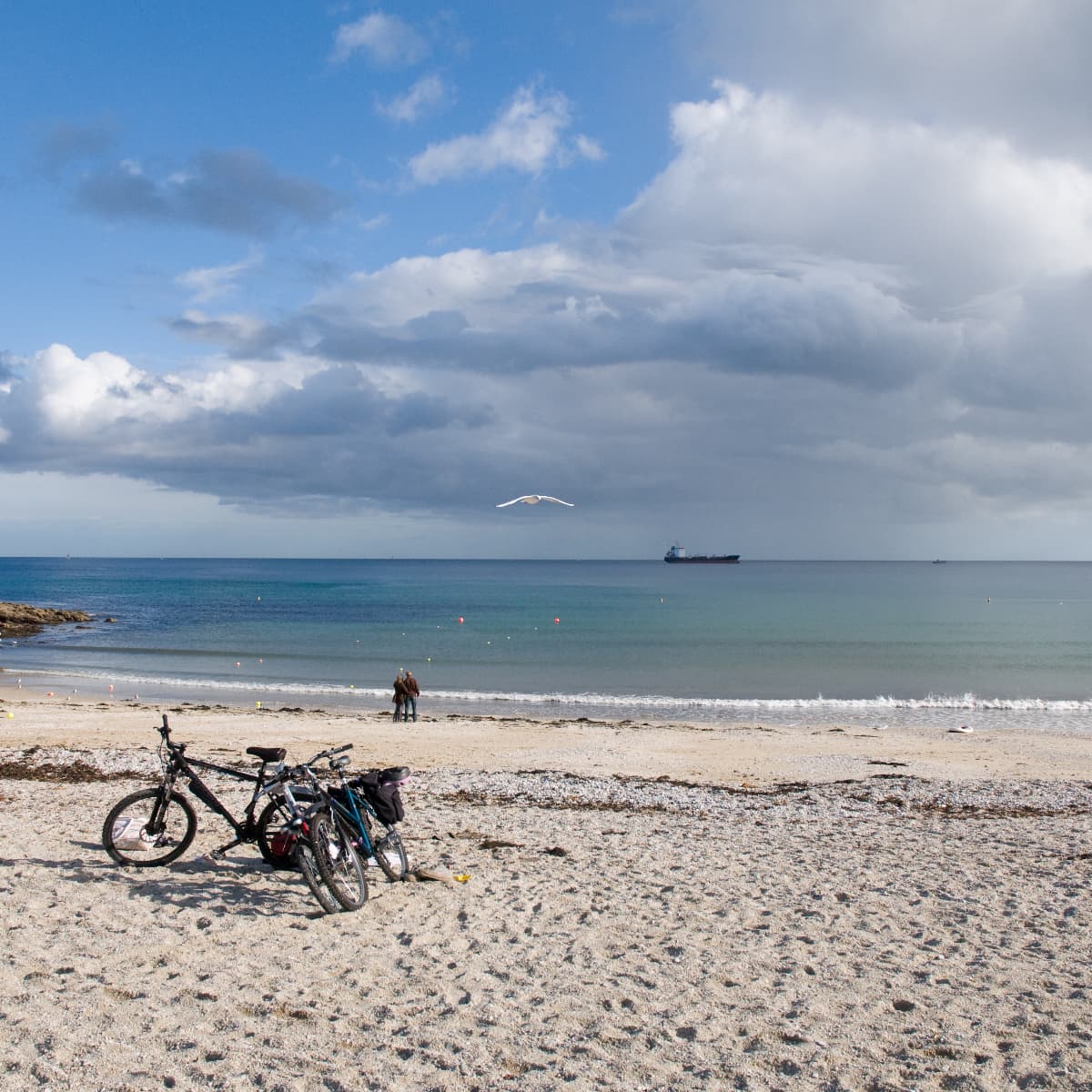 Swanpool Beach