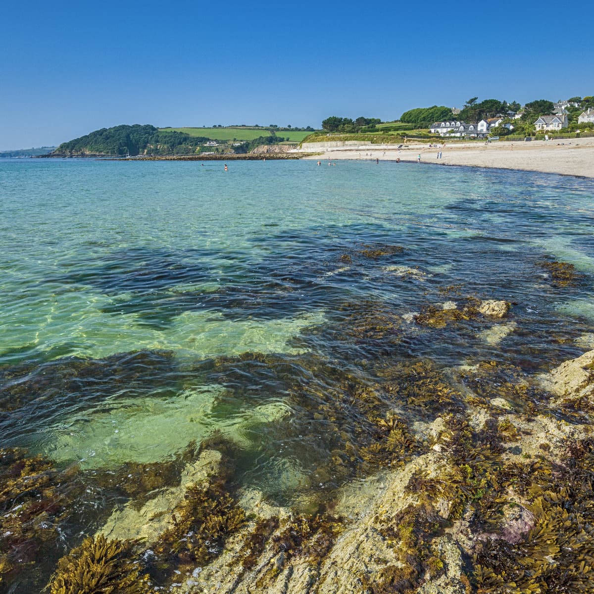 Gylly Beach Rockpooling