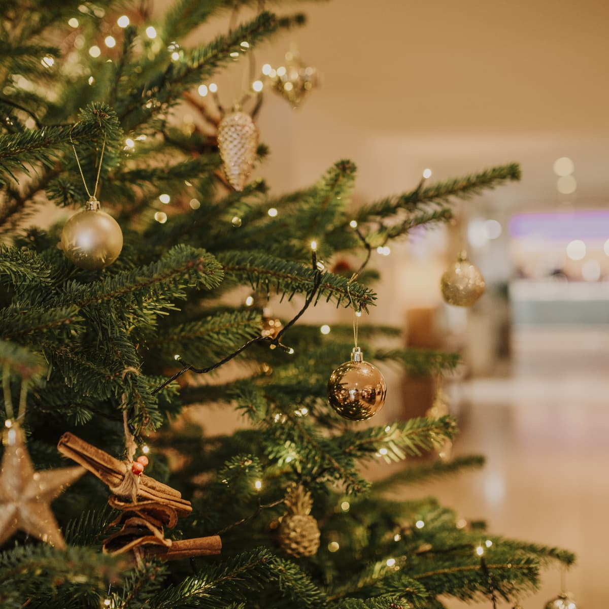 St Michaels Resort  Festive Stays