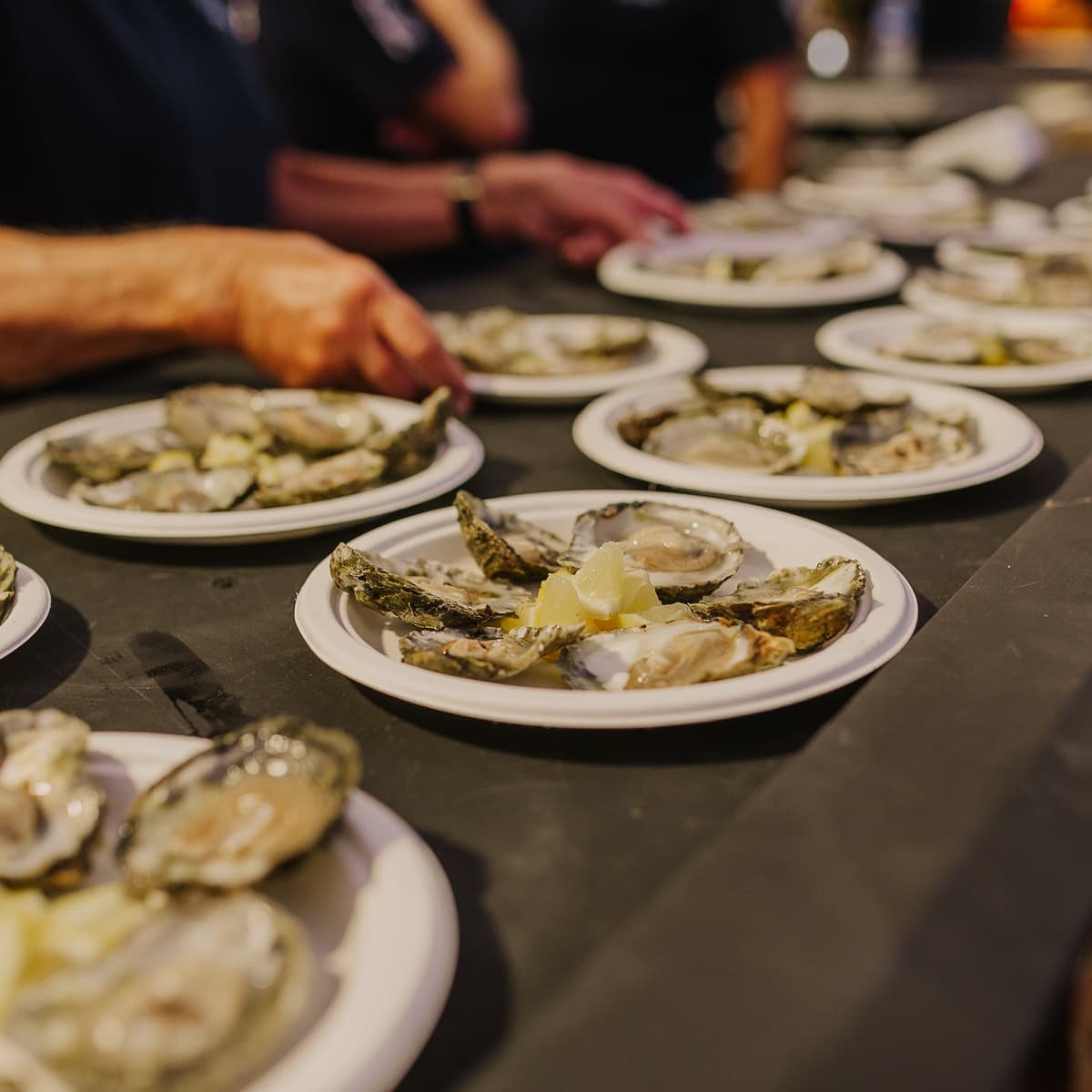 Oyster Farm