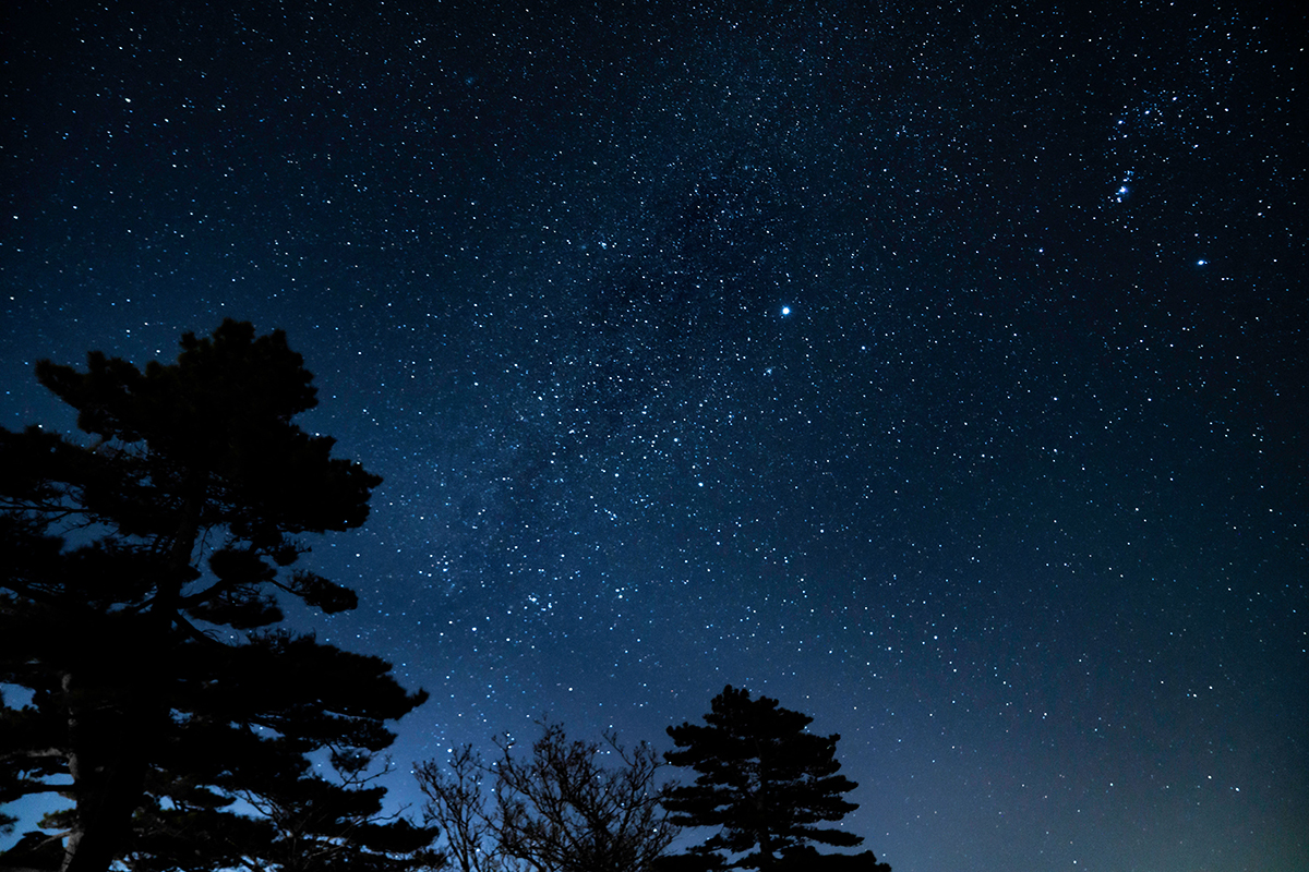 Stargazing on the Coast