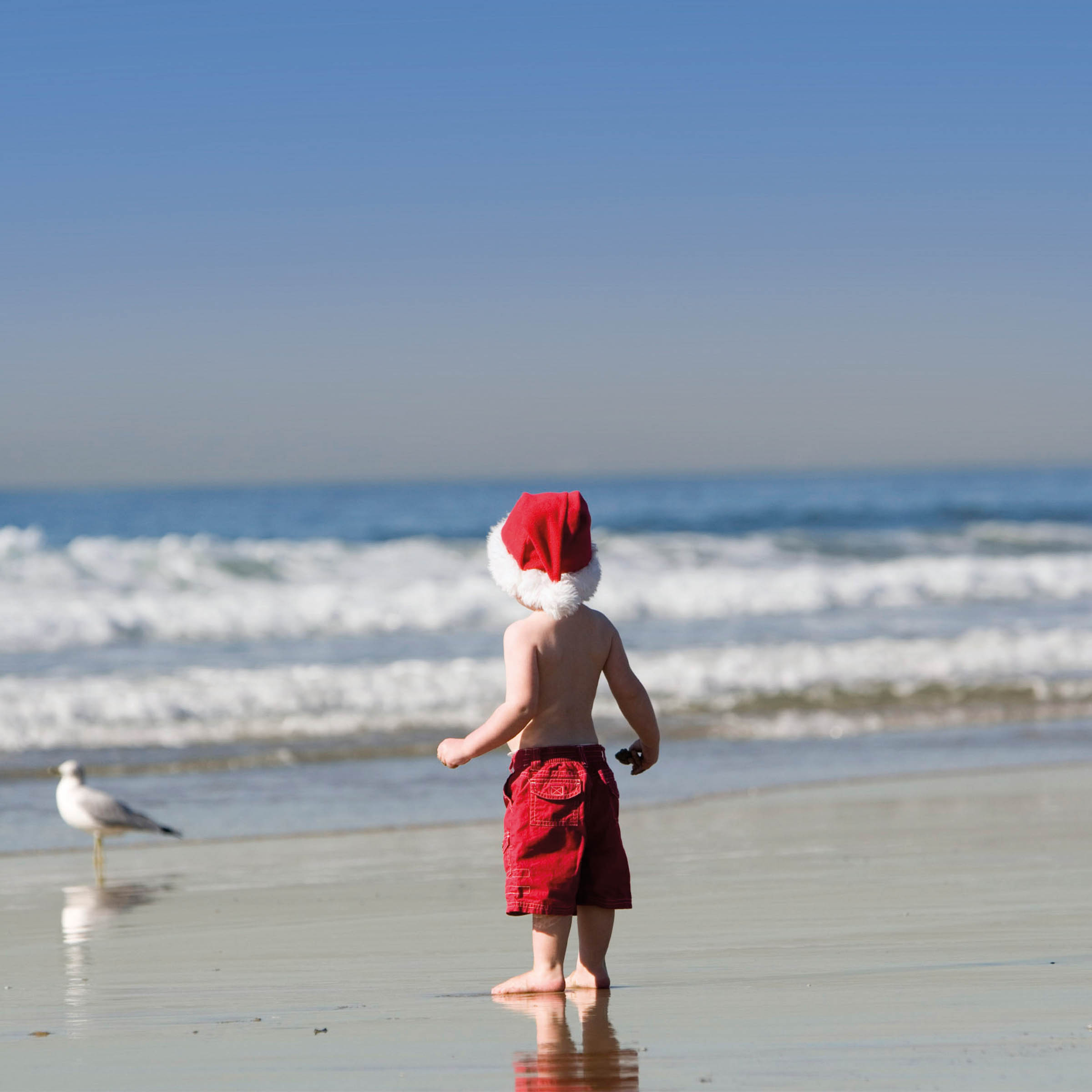Boy on the Beach