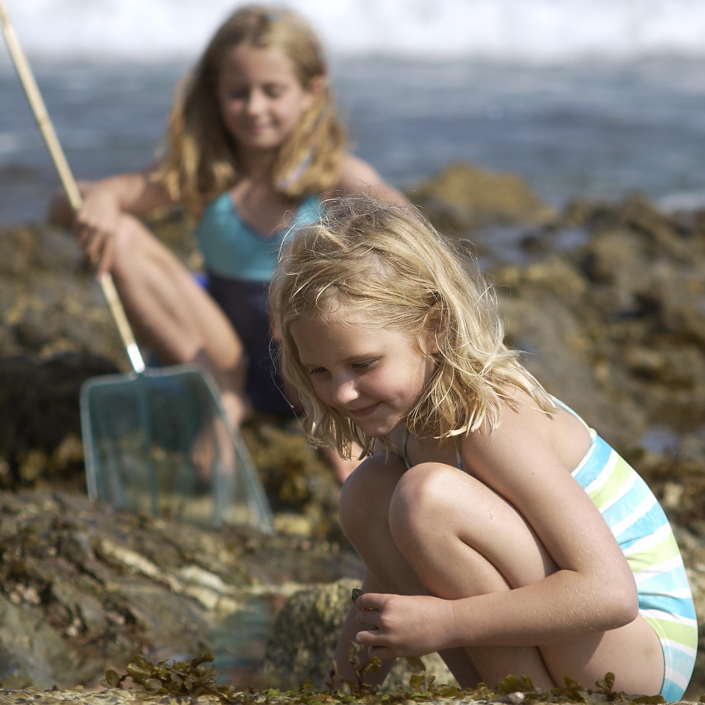 Children Gylly Beach Rockpooling